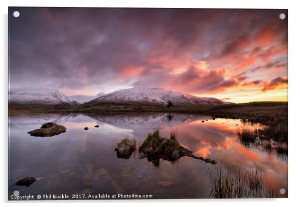 Snow capped Blencathra sunrise Acrylic by Phil Buckle