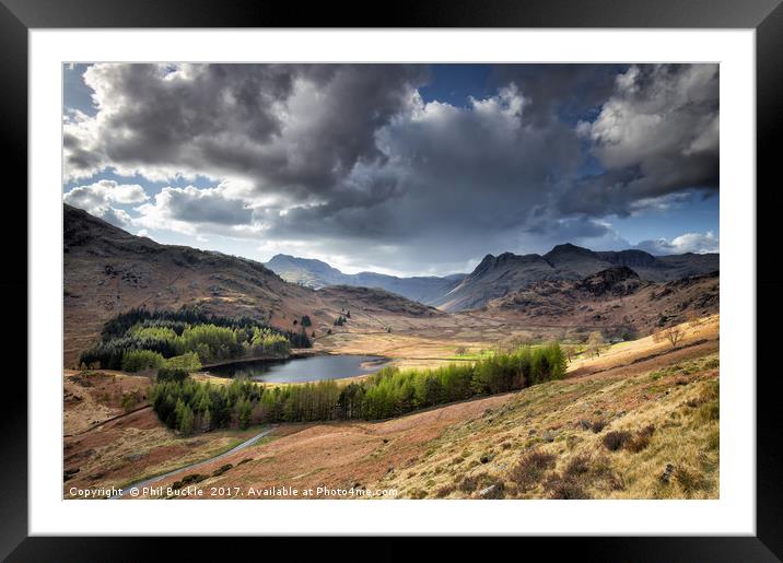 Blea Tarn and Langdale Pikes Framed Mounted Print by Phil Buckle
