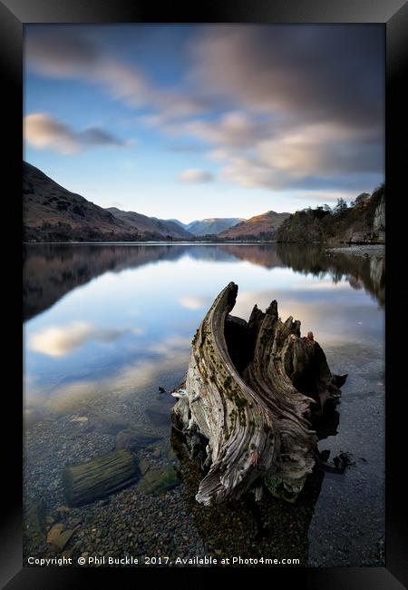 Mossdale Bay Stump Calm Framed Print by Phil Buckle