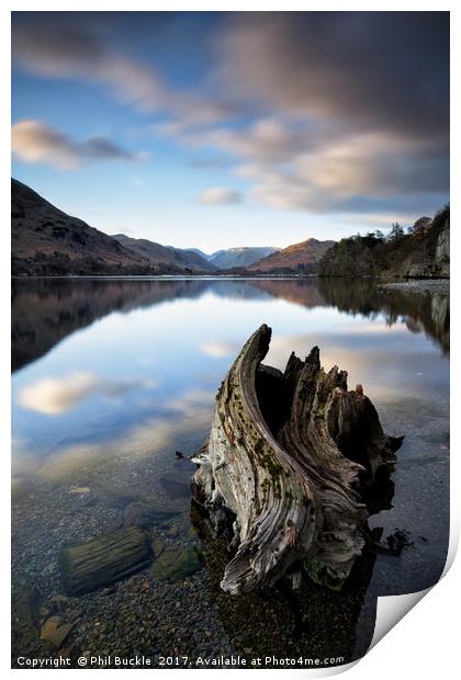 Mossdale Bay Stump Calm Print by Phil Buckle