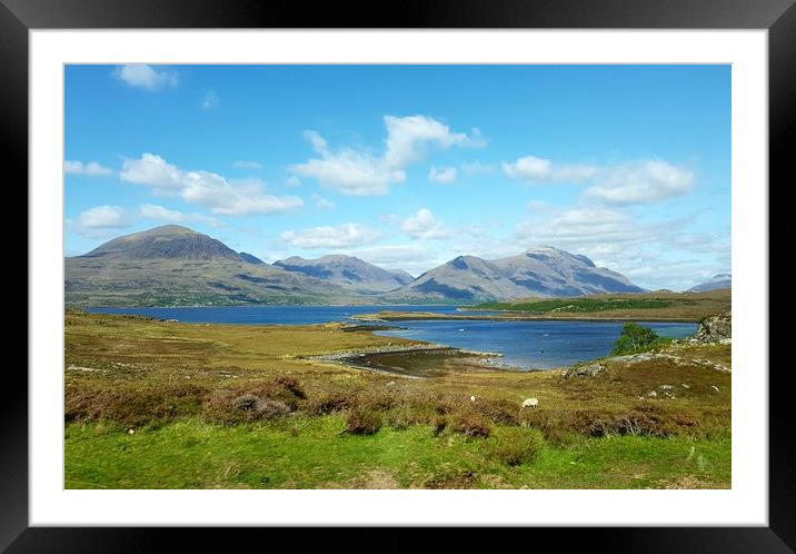Early Summer West Highland Walk Framed Mounted Print by Cecilia Zheng