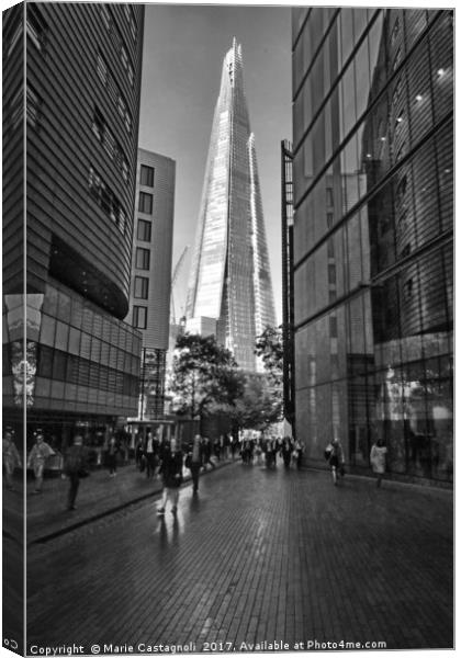 The Shard Of Glass  Canvas Print by Marie Castagnoli