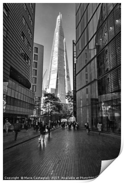 The Shard Of Glass  Print by Marie Castagnoli