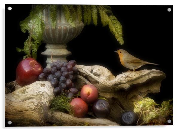 ROBIN AND FRUIT Acrylic by Anthony R Dudley (LRPS)