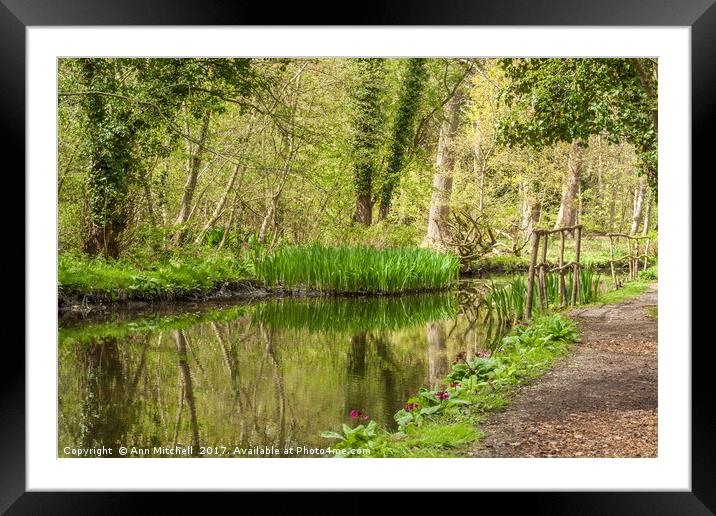 River Reflections Norfolk Framed Mounted Print by Ann Mitchell