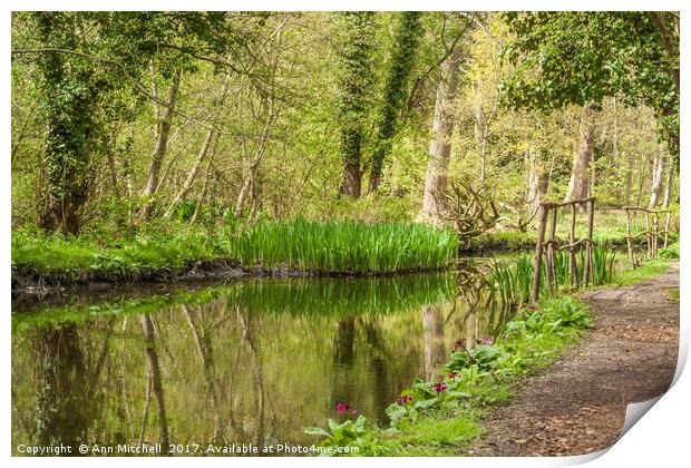 River Reflections Norfolk Print by Ann Mitchell