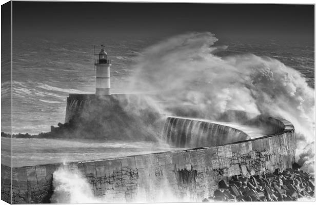 Newhaven Lighthouse Canvas Print by Ian Hufton