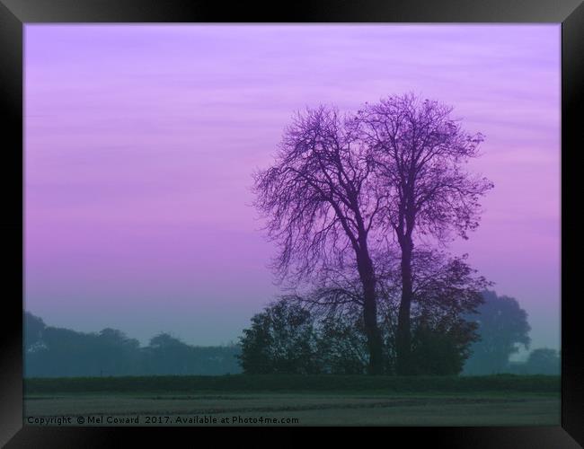 Lilac Sky as the Crows Fly Framed Print by Mel Coward