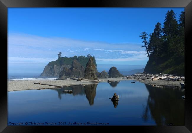 May Your Love Grow - Ruby Beach View  Framed Print by Christiane Schulze