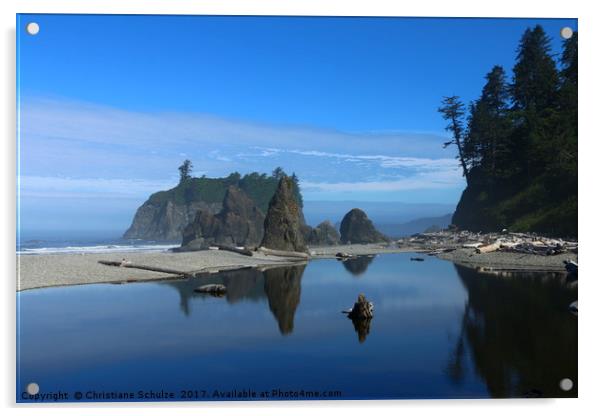 May Your Love Grow - Ruby Beach View  Acrylic by Christiane Schulze