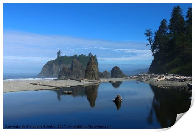 May Your Love Grow - Ruby Beach View  Print by Christiane Schulze
