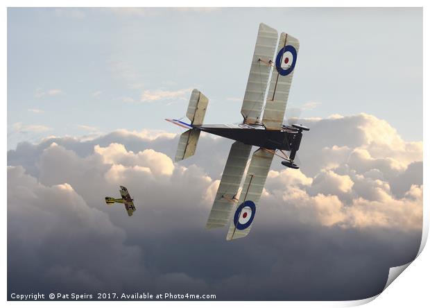 Stalked - SE5 and Albatros Dlll Print by Pat Speirs