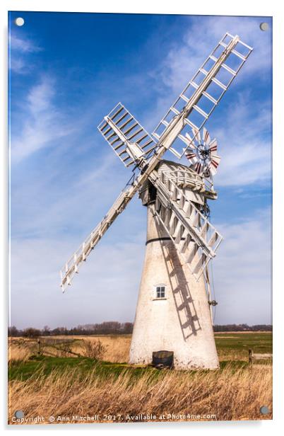 Thurne Mill Norfolk Acrylic by Ann Mitchell