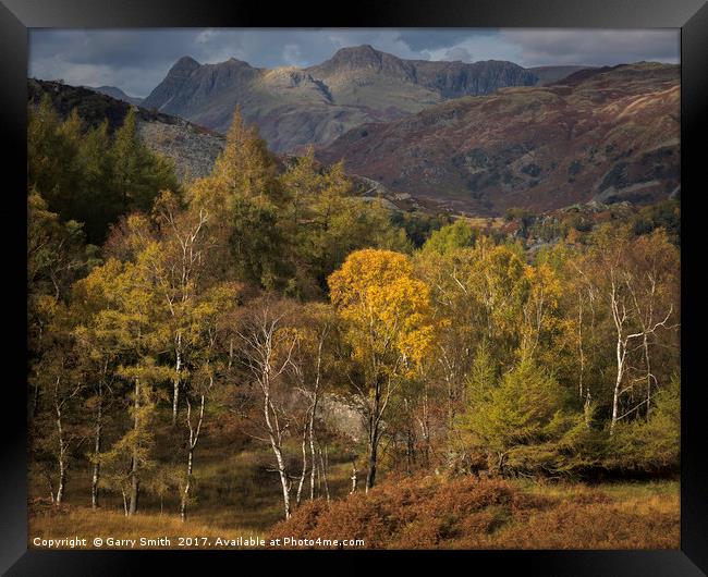 Langdale Pikes from Holme Fell Framed Print by Garry Smith