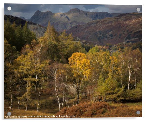 Langdale Pikes from Holme Fell Acrylic by Garry Smith