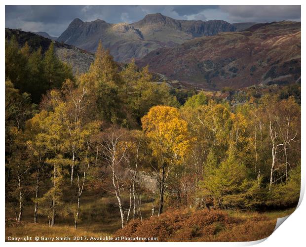 Langdale Pikes from Holme Fell Print by Garry Smith