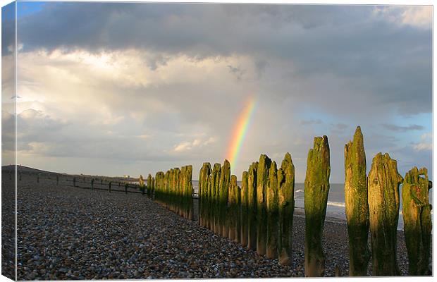 Winchelsea Beach groynes Rye Canvas Print by Oxon Images