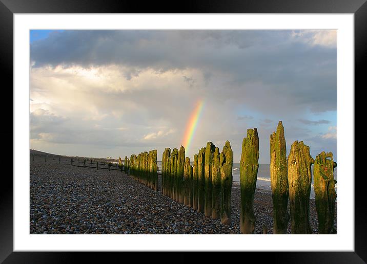 Winchelsea Beach groynes Rye Framed Mounted Print by Oxon Images