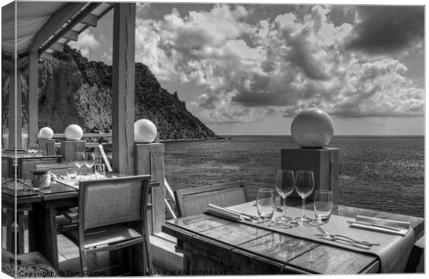 Dining in Paradise - B&W Canvas Print by Tom Gomez