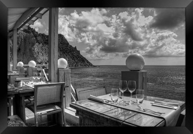 Dining in Paradise - B&W Framed Print by Tom Gomez