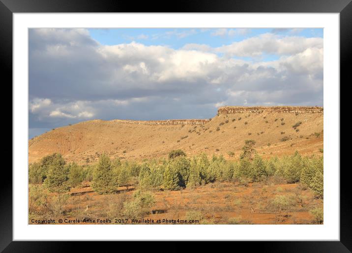 The Great Wall of China, Flinders Ranges Framed Mounted Print by Carole-Anne Fooks
