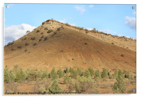 The Great Wall of China, Flinders Ranges Acrylic by Carole-Anne Fooks