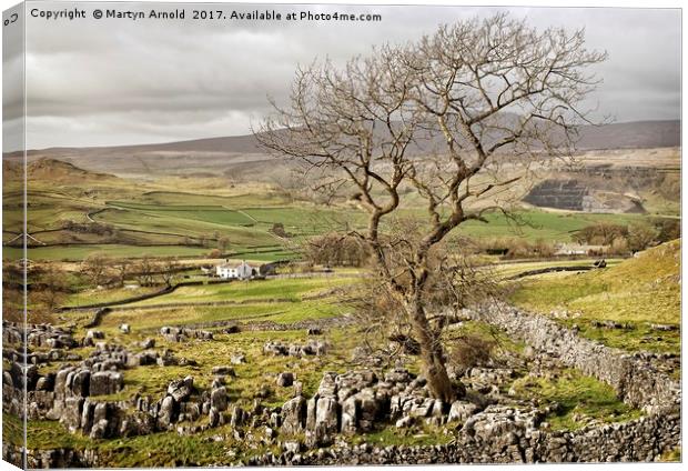 Yorkshire Dales Landscape Canvas Print by Martyn Arnold