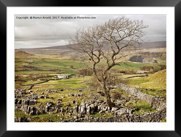 Yorkshire Dales Landscape Framed Mounted Print by Martyn Arnold
