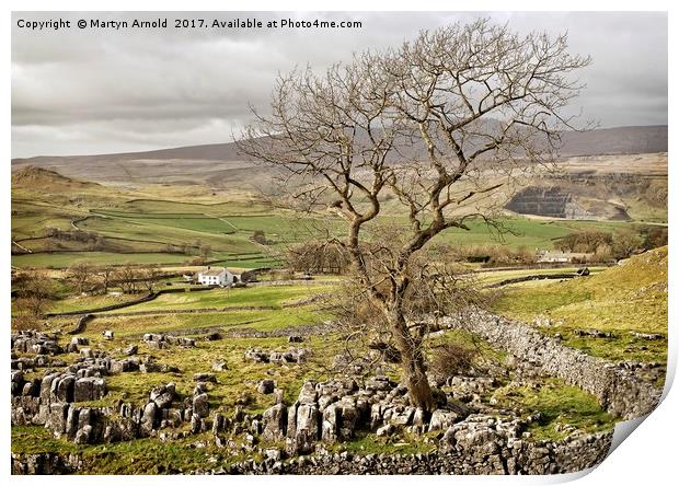 Yorkshire Dales Landscape Print by Martyn Arnold