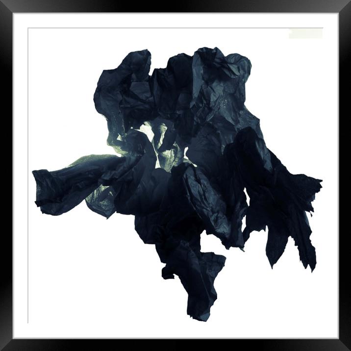 Black paper flower Framed Mounted Print by Larisa Siverina