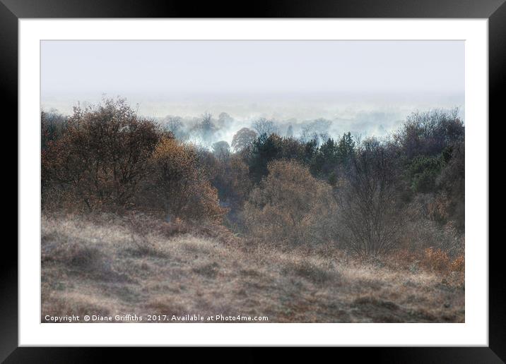 Cannock Chase Framed Mounted Print by Diane Griffiths