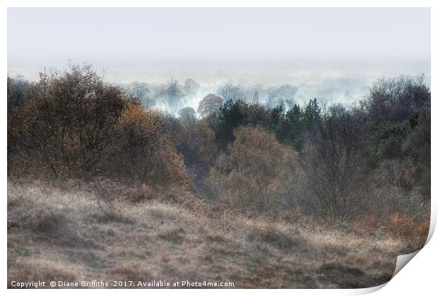Cannock Chase Print by Diane Griffiths