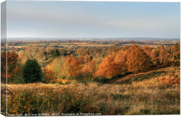 Cannock Chase Vista in the Autumn Canvas Print by Diane Griffiths