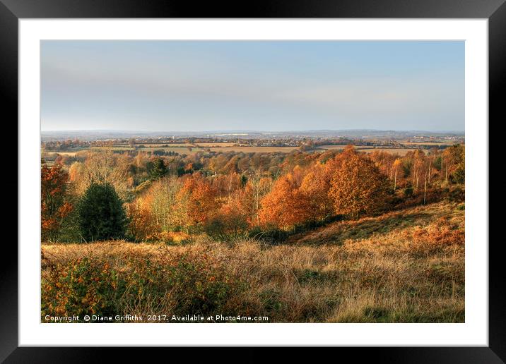 Cannock Chase Vista in the Autumn Framed Mounted Print by Diane Griffiths