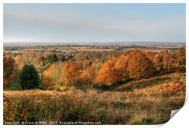 Cannock Chase Vista in the Autumn Print by Diane Griffiths