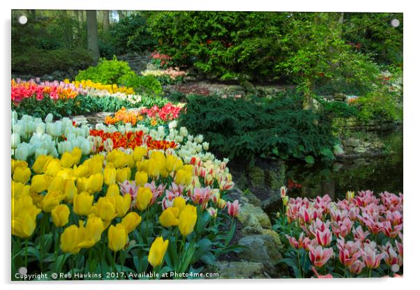 Technicolor Tulips  Acrylic by Rob Hawkins