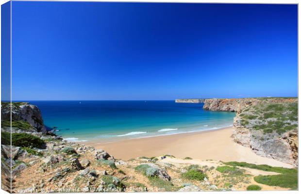 Praia do Beliche near Sagres on the Algarve, Portu Canvas Print by Carl Whitfield