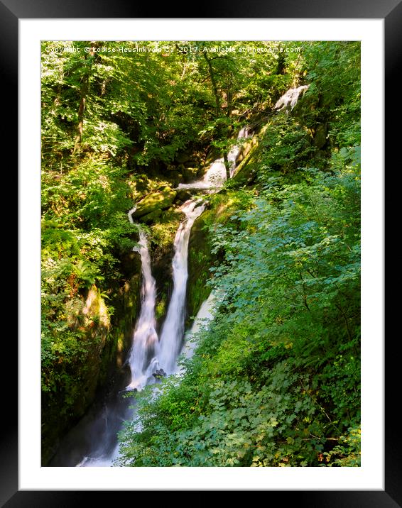 Stock Ghyll Force, Ambleside, Lake District, Cumbr Framed Mounted Print by Louise Heusinkveld