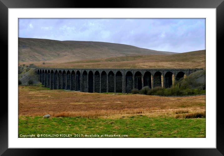 "TRAIN APPROACHING ON RIBBLEHEAD VIADUCT" Framed Mounted Print by ROS RIDLEY