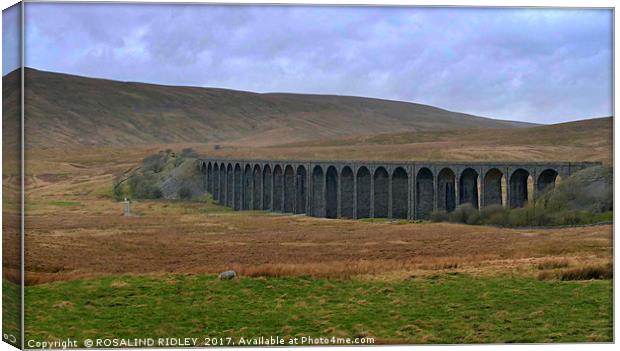 "GETTING NEARER ...TRAIN APPROACHING RIBBLEHEAD VI Canvas Print by ROS RIDLEY