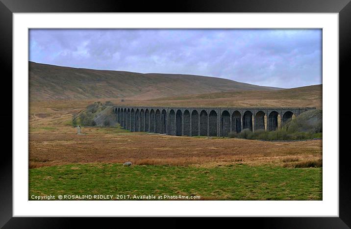"GETTING NEARER ...TRAIN APPROACHING RIBBLEHEAD VI Framed Mounted Print by ROS RIDLEY