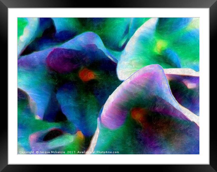 HYDRANGEA FLOW Framed Mounted Print by Jacque Mckenzie
