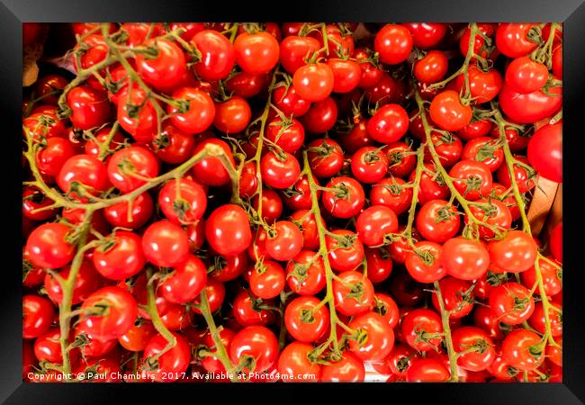 Cheery Tomato's  Framed Print by Paul Chambers