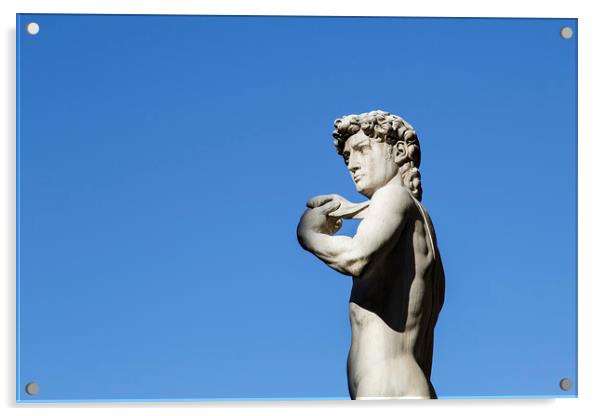 Michelangelo's David Acrylic by Jackie Davies