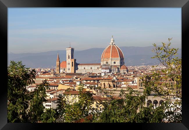 The Duomo di Santa Maria del Flore in Florence.  Framed Print by Jackie Davies