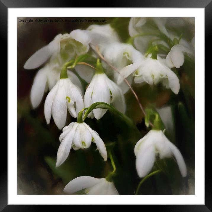 Simply Smudged Snowdrops Framed Mounted Print by Jim Jones