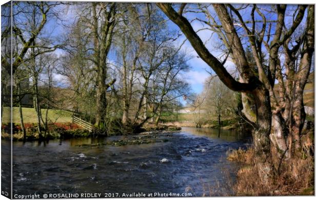 "ALONG THE RIVER SKIRFARE NEAR ARNCLIFFE , WHARFDA Canvas Print by ROS RIDLEY