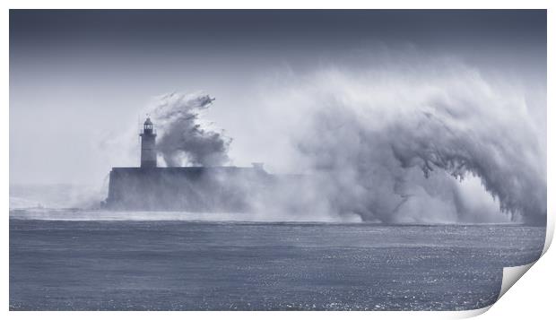 Newhaven Lighthouse Print by Ian Hufton