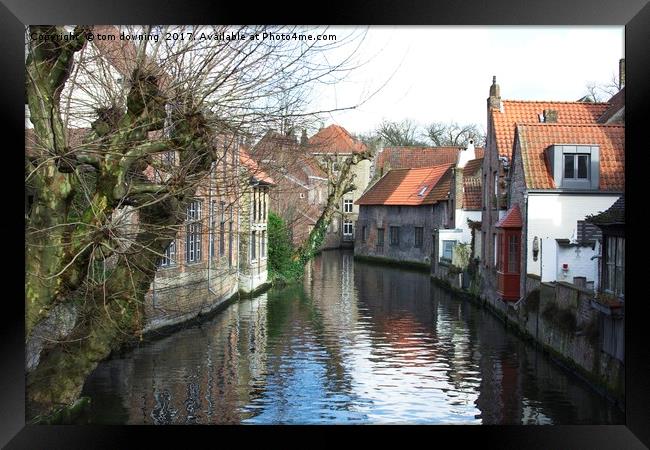 Canal in Brugge Framed Print by tom downing