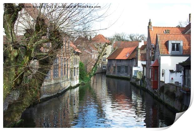 Canal in Brugge Print by tom downing